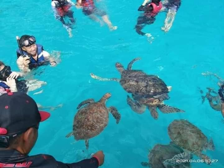 Long Beach Garden Kampung Kuala Besut Eksteriør bilde